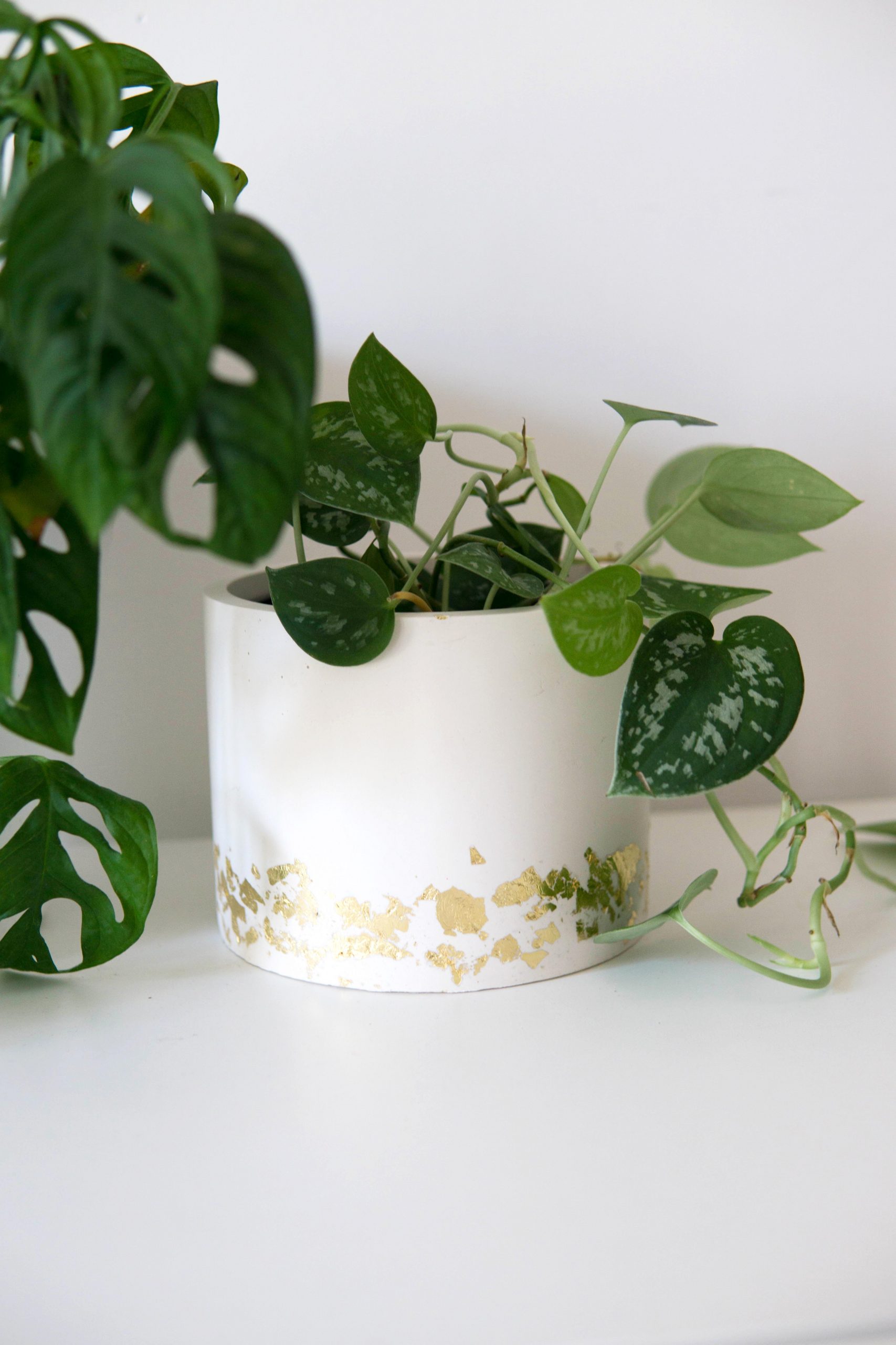 Cache-pot blanc Luna by My Little Plant (Ø intérieur 13)